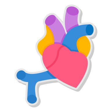 Bir kalbin vektör illüstrasyonu