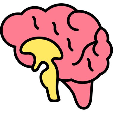 beyin anatomisi organ simgesi