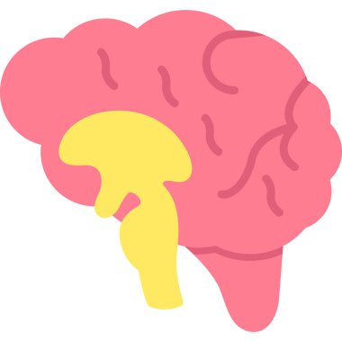 Beyin anatomisi organ simgesi düz stil