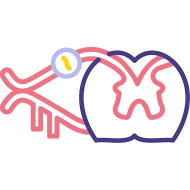 İnsan beyni anatomisi simgesi