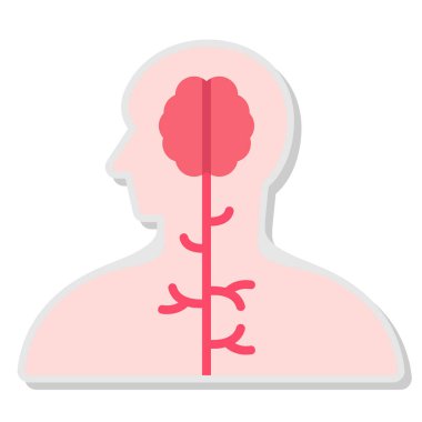 İnsan kafalı beyin.