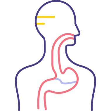 İnsan anatomisi ikonu. Beyaz arkaplanda izole edilmiş web tasarımı için insan anatomisi vektör simgesi ana hatları