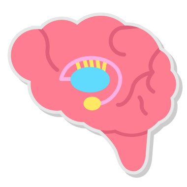 Beyin çizgi film ikonu. Beyin anatomisi. İnsan beyin organı ve tıbbi tema. Yalnız tasarım. vektör illüstrasyonu