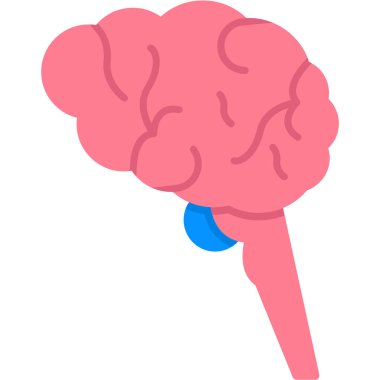 Beyni olan beyin, illüstrasyon, vektör, beyaz arka planda.