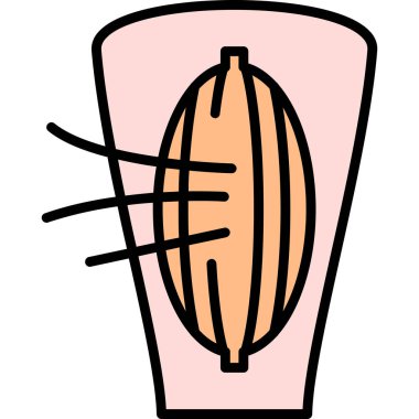 Hindistan cevizi simgesi vektör çizimi