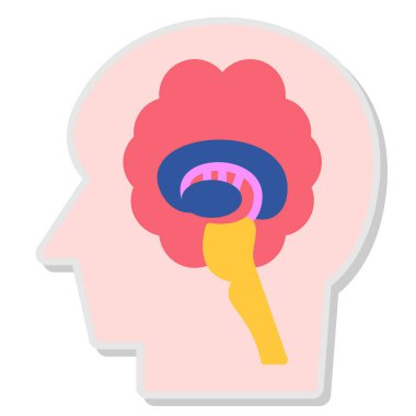 İnsan beyni anatomisi ikonu, vektör illüstrasyonu