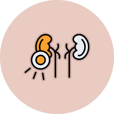 Beyaz arka planda izole edilmiş insan kulağı ve böbrek simgesi. Kulak böbreği işareti. vektör illüstrasyonu