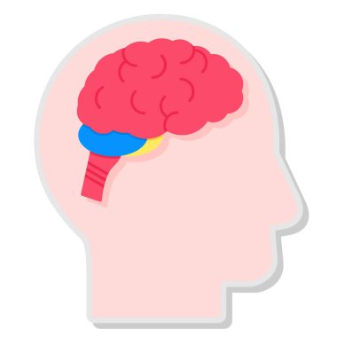 Beyin insan zihin vektör illüstrasyonu