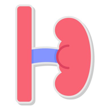 İnsan karaciğer organı, illüstrasyon, beyaz arkaplanda a vektörü.
