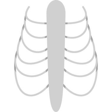 İnsan anatomisi ikonu. vektör illüstrasyonu