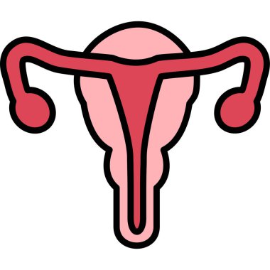 İnsan uterusu simgesi, vektör illüstrasyonu