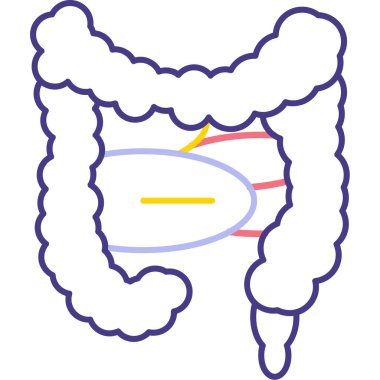 Mide anatomisi ikonu. Beyaz arkaplanda izole edilmiş web tasarımı için insan anatomisi vektör simgesi ana hatları