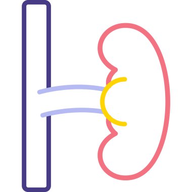 İnsan vücudunun vektör illüstrasyonu