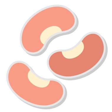 Böbrek simgesi, vektör illüstrasyonu