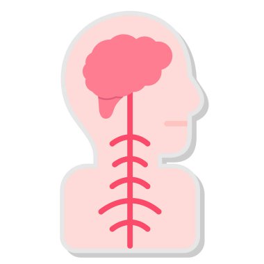 İnsan anatomisine sahip beyin