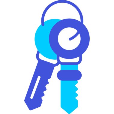 Anahtar. Web simgesi basit illüstrasyon