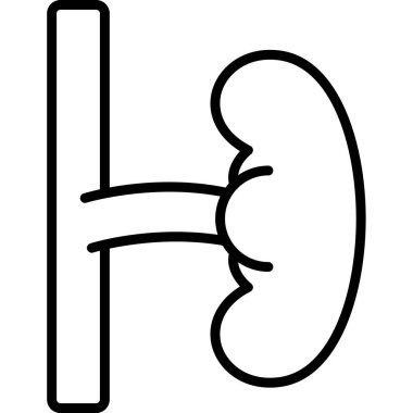 Böbrek simgesi. Böbrek vektör simgesi web için anahat çizimi