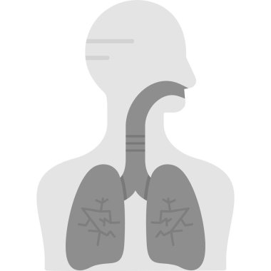 İnsan ciğerleri anatomisi. beyaz arkaplanda izole edilmiş anatomi vektör illüstrasyonu.