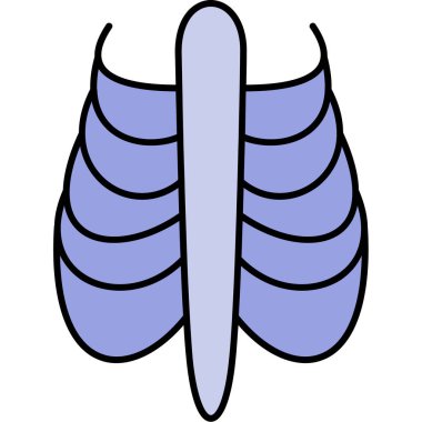 renkli kelebek kanatları