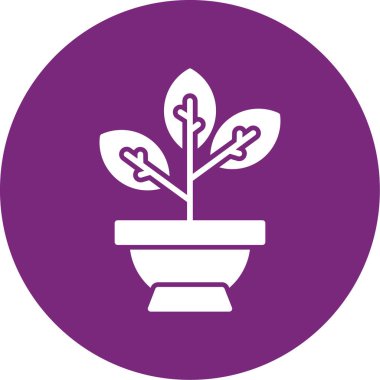 beautiful flower vector glyph icon