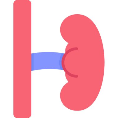 Böbrek simgesi, düz stil