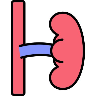 İnsan böbreği ikonu. İnsan böbrek taşıyıcı simgesinin ana hatları düz izole edilmiş