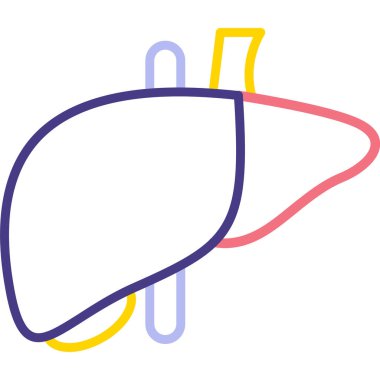 Karaciğer simgesinin vektör çizimi