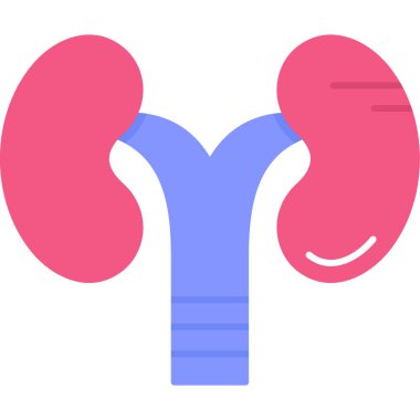 böbrek organ ikonu vektör illüstrasyonu