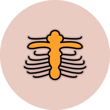 İnsan anatomisi simgesi, vektör illüstrasyonu