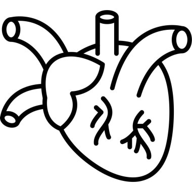 Kalp organ ikonu ana hat vektörü. Kalp organı. İnsan organı