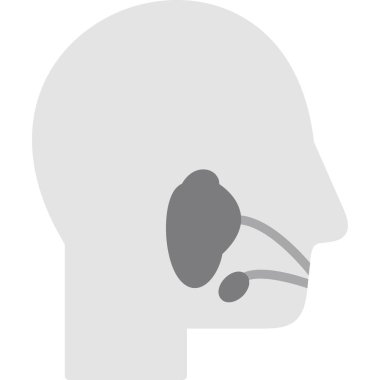 İnsan organ vektör simgesi tasarımı