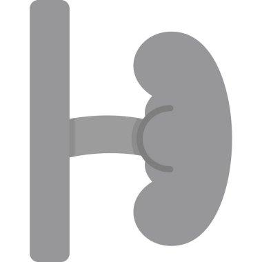 Böbrek simge vektör çizim