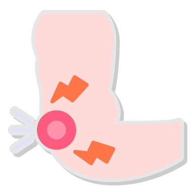 Karın organı. Basit resimleme