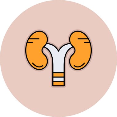 böbrek vektörü düz renk simgesi