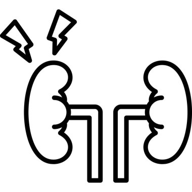 İnsan böbrekleri ikon ana hat vektörü. İnsan midesi. İnsan anatomisi