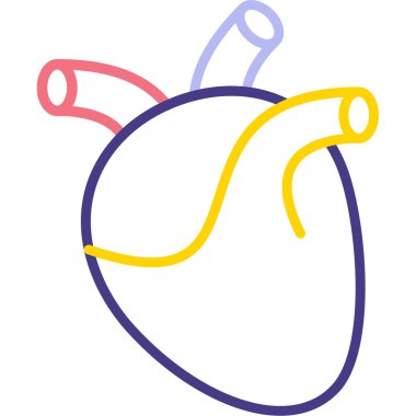 Beyaz arkaplanda kalp organı, illüstrasyon, vektör.