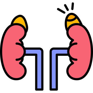 Böbrek ikonu. böbrek çizgisi vektör simgesi rengi düz izole