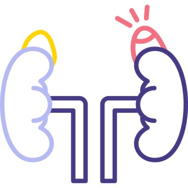 Böbrek. Basit tasarım