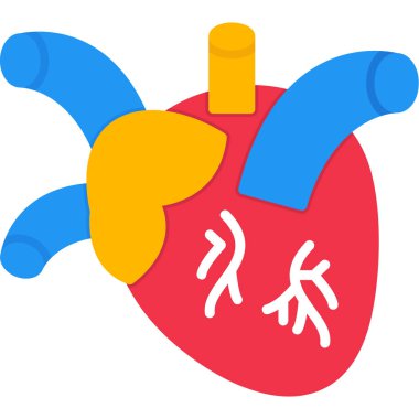kalp anatomisi organ simgesi