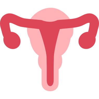 Düz stil beyaz arka plan üzerinde izole rahim simgesini. Organları simge vektör çizim.