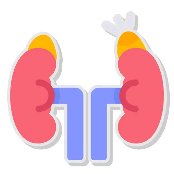 Tüplü renkli karikatür böbrekleri