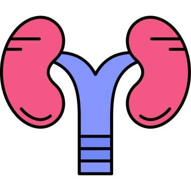 İnsan böbreği ikonu. İnsan böbrek taşıyıcı simgesinin ana hatları düz izole edilmiş