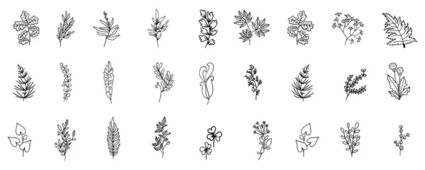 Minimum Botanik Çizim Modaya Uygun Küçük Dövme Tasarımı Çiçek Elementleri — Stok Vektör