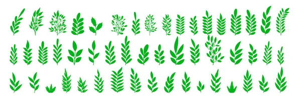 Zestaw Ikon Zielonych Liści Liście Drzew Roślin Zielony Kolor Liście — Wektor stockowy