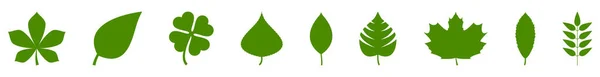 Sada Zelených Ikon Listů Zelená Barva Zanechá Zelené Logo Ikony — Stockový vektor