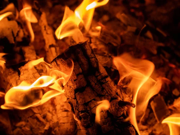 stock image Outdoor bonfire, burning log of wood. Close-up bonfire. Flames, ember and burning log of wood. Tranquil scene and leisure activity with family and friends.  