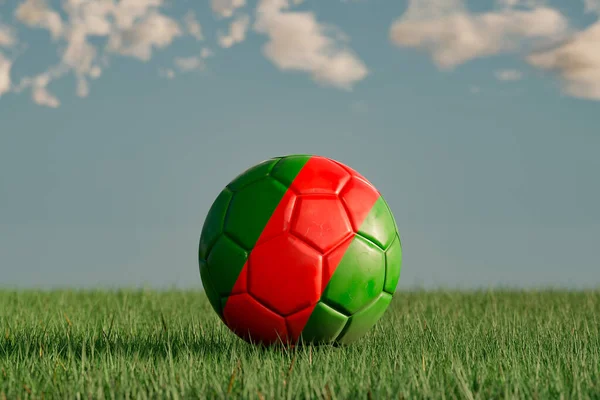 Portuguese football with the national colors of Portugal on a green meadow. Leather in slightly used look. Background blue with clouds. Soccer ball and sports concept. 3D illustration