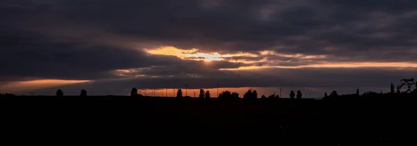 Silhouette Éoliennes Arbres Horizon Coucher Soleil Ciel Brillant Orange Dramatique — Photo