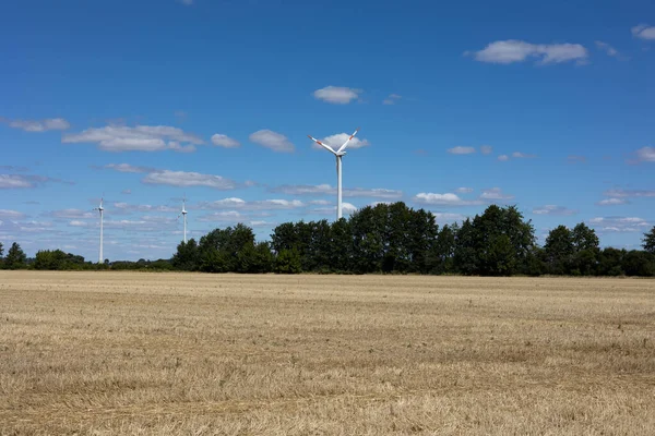 Wind Turbines Trees Wind Turbines Harvested Field Forest Blue Sky — Stock Photo, Image