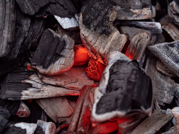 Detailní Záběr Zářících Uhlíků Dřevěného Uhlí Bílého Popela Grilu Gril — Stock fotografie